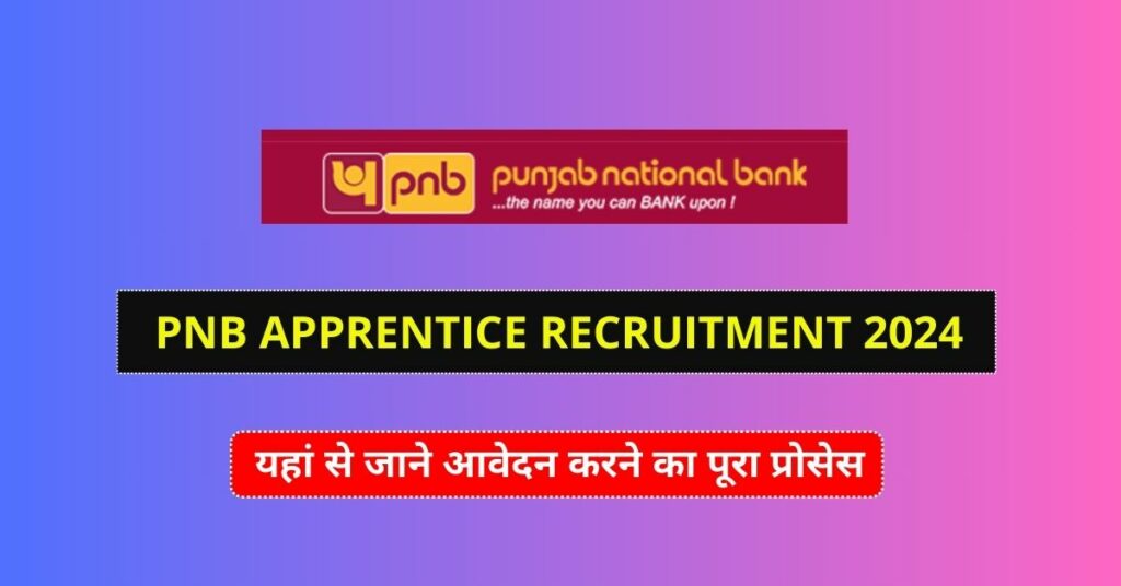 PNB Apprentice Recruitment 2024